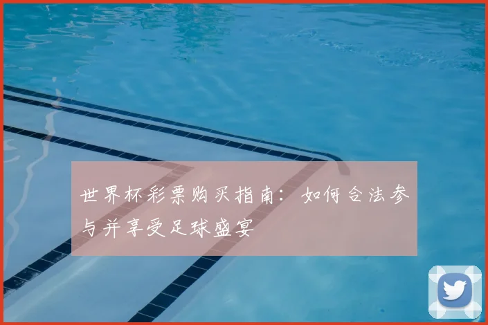 世界杯彩票购买指南：如何合法参与并享受足球盛宴